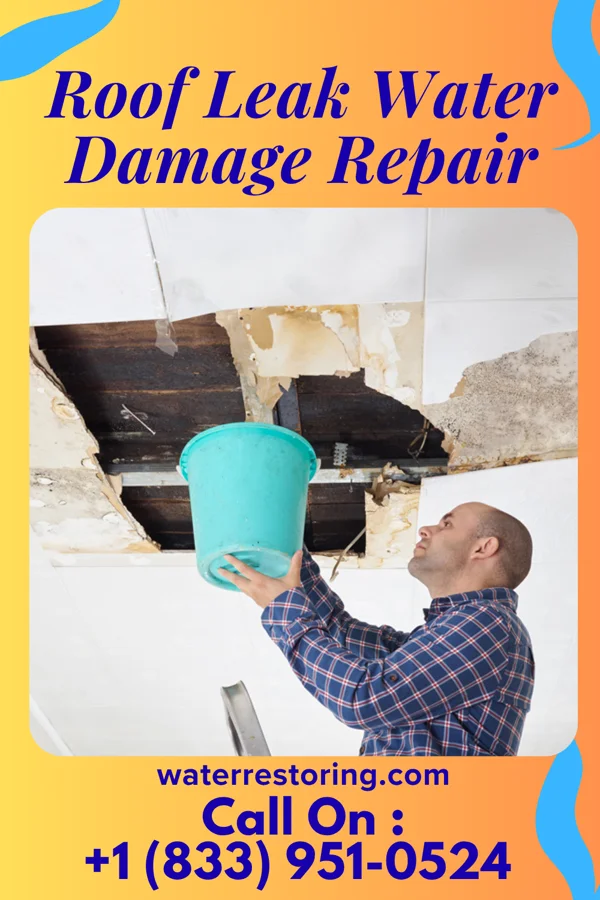Roof Leak Water Damage Repair in Coleridge, NE