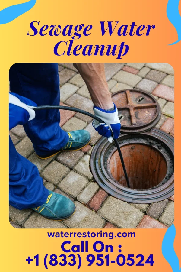 Sewage Water Cleanup in Coleridge, NE